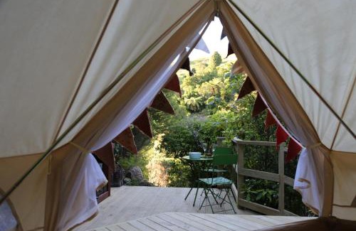 Waihi Other | Kereru site