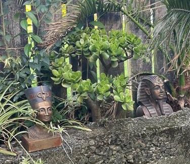 Raglan House | Le Bach - Rustic Central Raglan