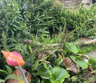 Raglan House | Le Bach - Rustic Central Raglan