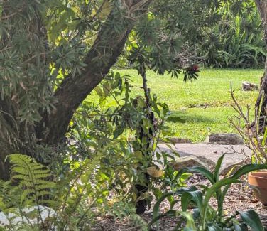 Mangonui Apartment | Mangonui Garden Flat