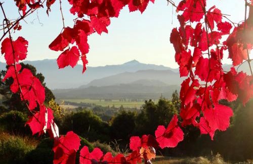 Wanaka Apartment | Mitchella Eco Stay