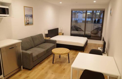 Auckland Central Business District Apartment | Modern Cosy Studio Apartment Auckland Central