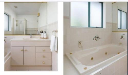 Mount Maunganui Apartment | Mount Handy Dandy