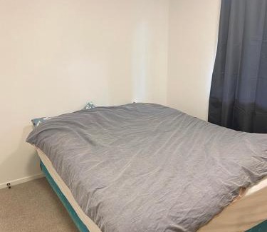 Mount Albert Apartment | Nice and tidy 3 bedrooms apartment, free parking