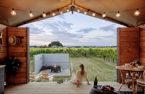 Clive RV Rental | Peaceful Safari Tent on Boutique Vineyard near Hastings, North Island