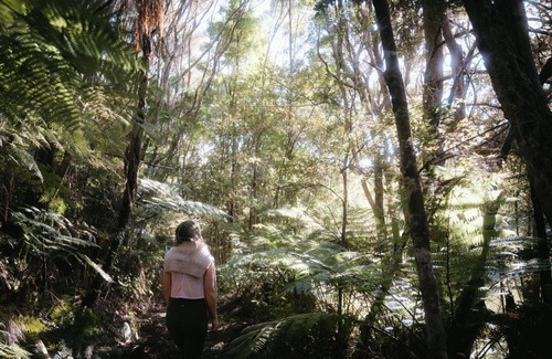 Opua House | Rekindle Home