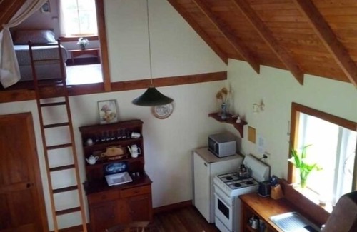 Collingwood Cottage | Ruru Cottage - cosy native forest hideaway