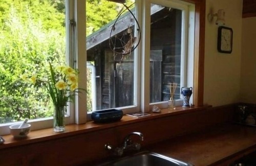 Collingwood Cottage | Ruru Cottage - cosy native forest hideaway
