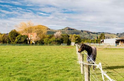 Mosgiel House | Saddleview Cottage - Horse and Pet Friendly