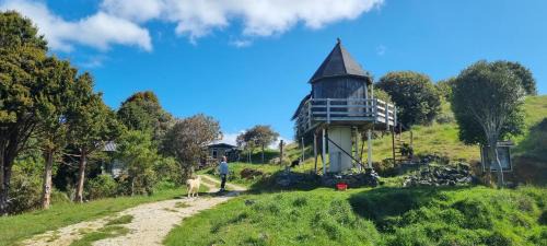 Takaka Hill Other | Settlers Hut