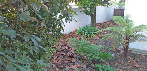 Palmerston North Hotel | Shadzz Motel