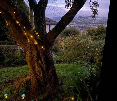 Dunedin House | Starry Hill Cottage