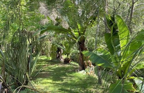 Taupo Bay Cabin | Sub-Tropical Paradise Retreat Willow Creek Cabin, Infra-Red Sauna
