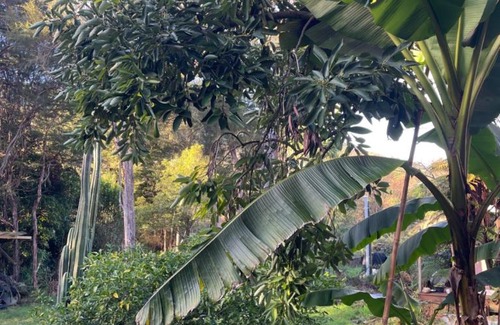 Marahau House | The Big House