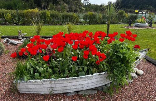 Hokitika House | The Lilly Pad - Hokitika
