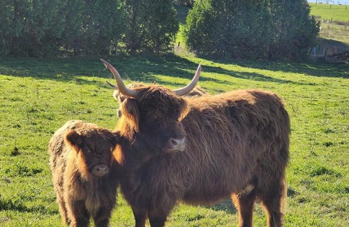 Motueka Apartment | Willow Highland Farm Stay