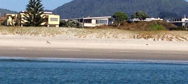 Absolute beachfront family holiday home for a wonderful stay at Omaha Beach.