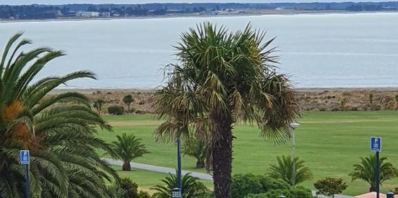 Bayview Apartment