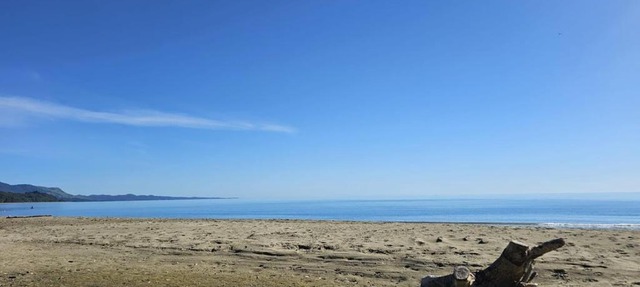 Beachfront Beauty