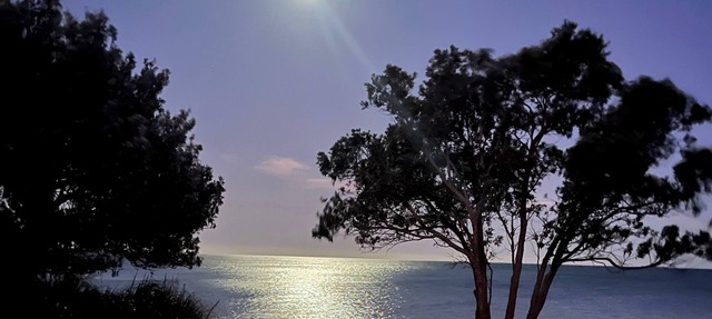 Beachfront Bliss - an absolute beachfront stunner!