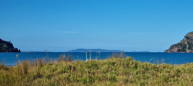 Beachfront Property, Kennedy Bay, Coromandel, NZ