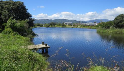 Beside the lagoon - Waikanae Beach