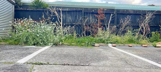 Campvan site in Albany