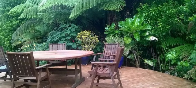 Cozy Cottage Rental Located near Cape Foulwind in Westport, New Zealand