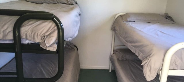 Cozy dog-friendly batch, perfect for an authentic kiwi holiday.