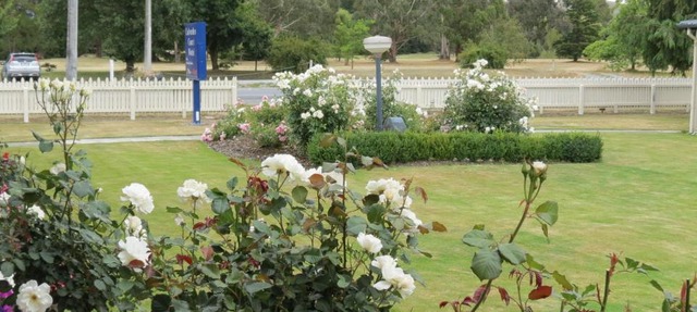 Culverden Court Motel