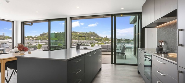 Enfield Sky- Brand New Penthouse
