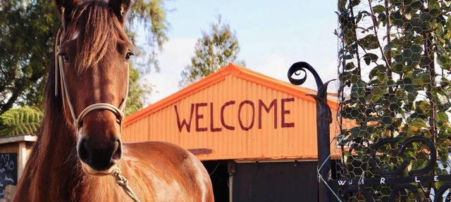 Hack'n'Stay Adventure Farm - Paton's Rock