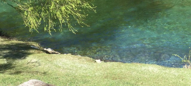 Hawea River Retreat. Magnificent private location,walking track at our gate.