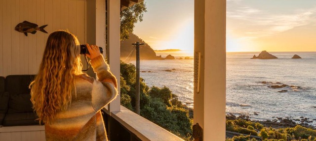 Hidden Gem, Whales & Dolphins, Epic Location - KK71342