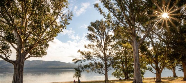 Hop, Skip and Jump to the Lake - Te Anau House