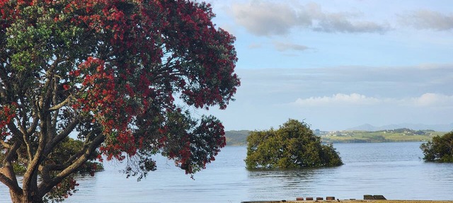 Idleawyle on the Harbours Edge