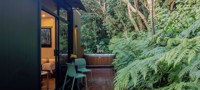 Kea Pod - A sanctuary pod tucked away in a native bush in Wellington