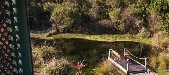 Koru Beach Cabin & B&B Homestay