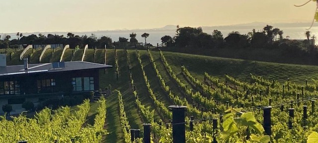 La Bodega Waiheke Island