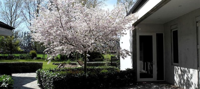 Luxurious Accommodation with Spacious Grounds in Canterbury, South Island