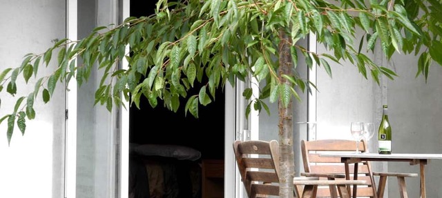 Luxurious Accommodation with Spacious Grounds in Canterbury, South Island
