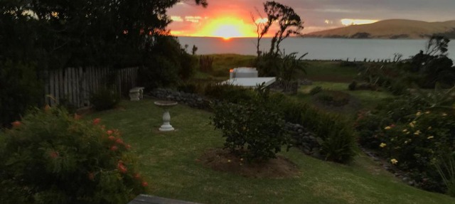 Moana Views