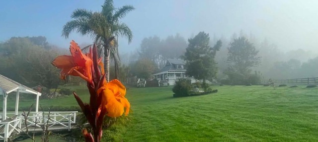 MoonWillow Manor