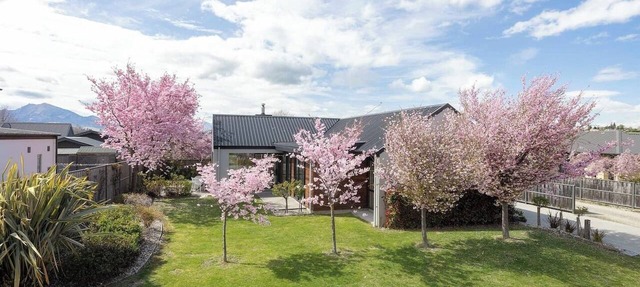 Mountain views in Meadowstone
