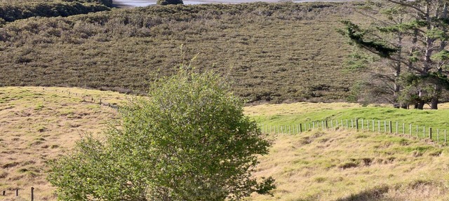 Off grid serene, rural, 10 acres, waterfront with views galore in Tinopai.