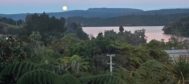 ŌKERE Ridge - Stone, native timber and tree ferns overlooking Lake Rotoiti