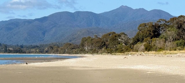 Pā Tōrea Beach Stay | Yurt