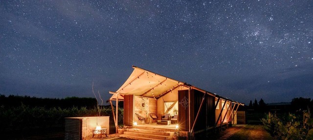 Peaceful Safari Tent on Boutique Vineyard near Hastings, North Island