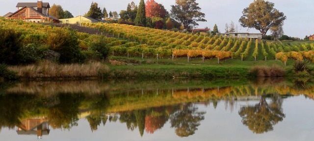 Pine Hill Lodge In Vineyard