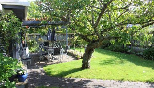 Popular Bird Area - Central Taupo